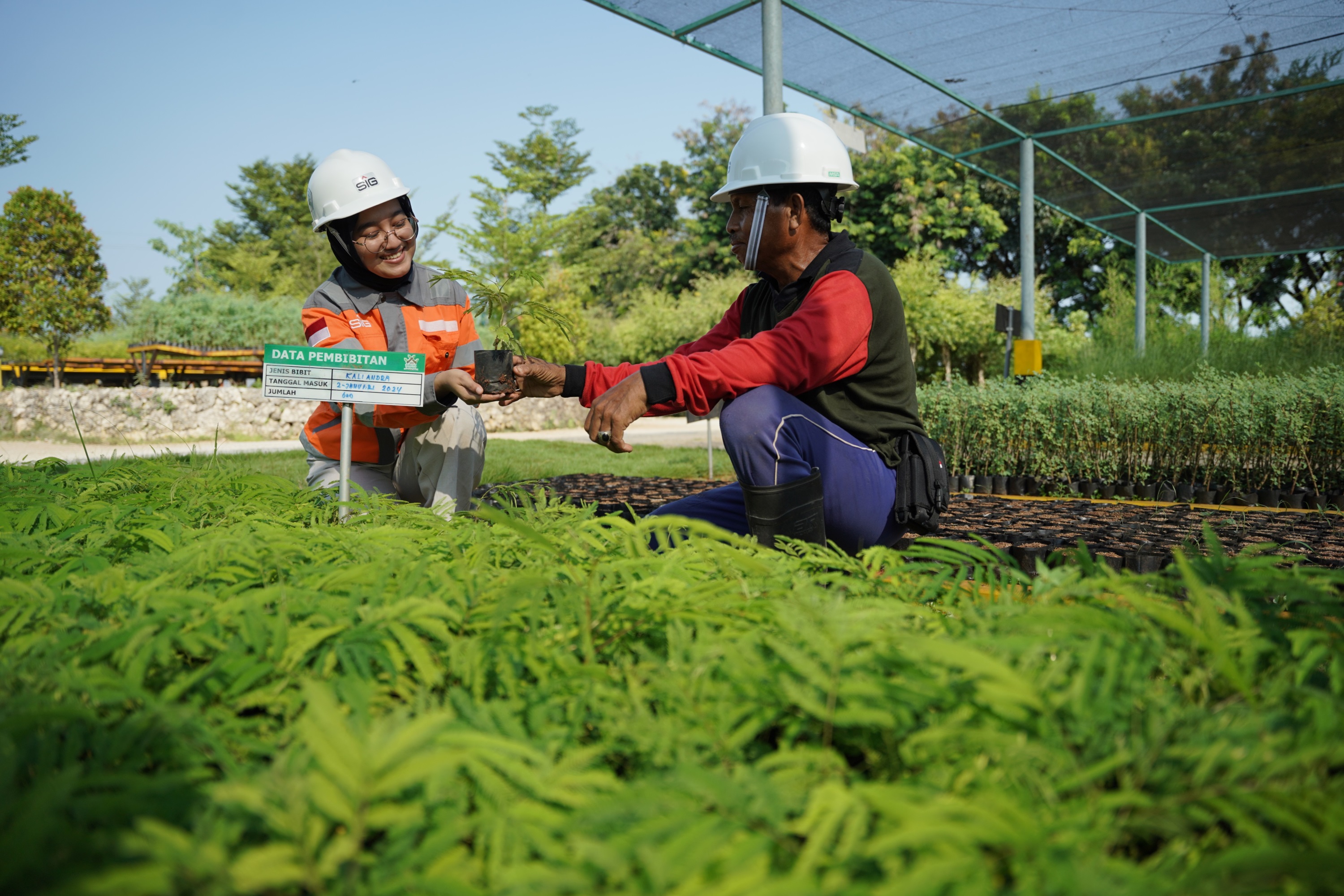 Ciptakan Nilai Berkelanjutan, SIG Perkuat Keunggulan Operasional dengan Eco-Inovasi dan Inovasi Sosial